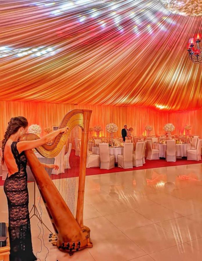 Hotel Dennis Mediaş Zewnętrze zdjęcie
