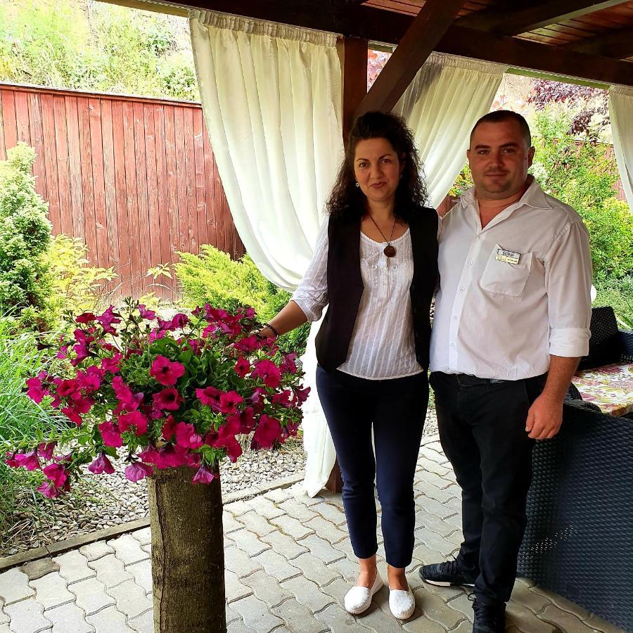 Hotel Dennis Mediaş Zewnętrze zdjęcie