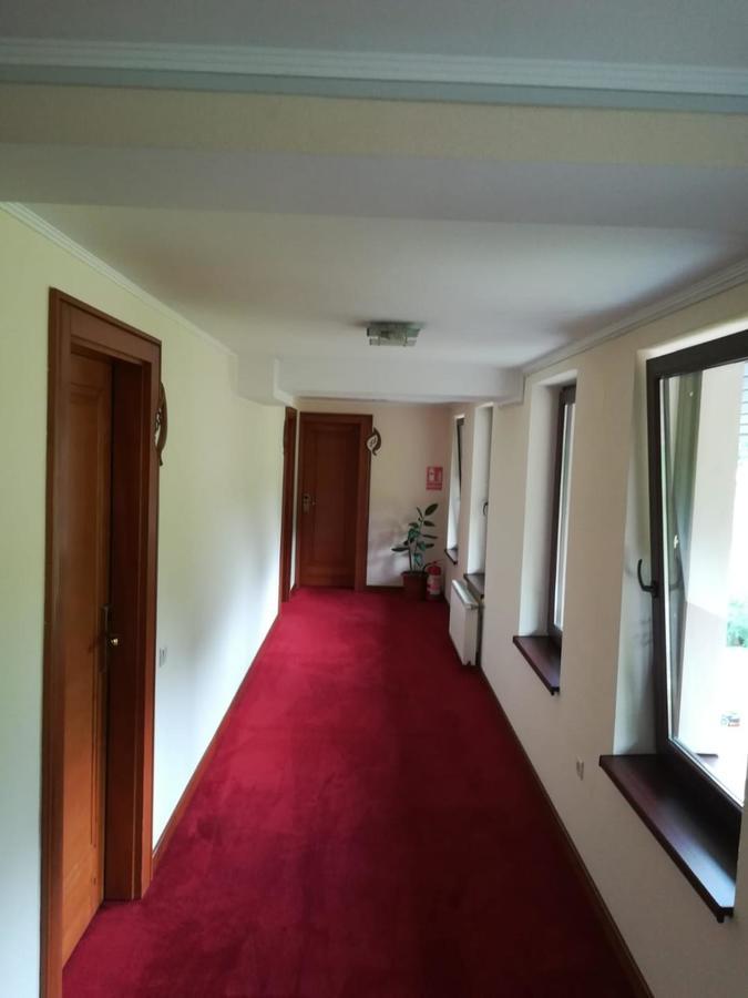 Hotel Dennis Mediaş Zewnętrze zdjęcie